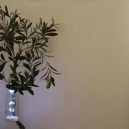 Apartment Amazing Aparts - Alfama Lisbon